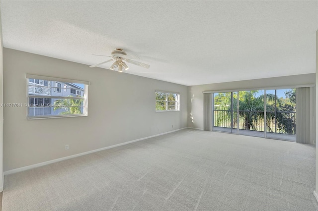 spare room featuring carpet floors, ceiling fan, and a textured ceiling