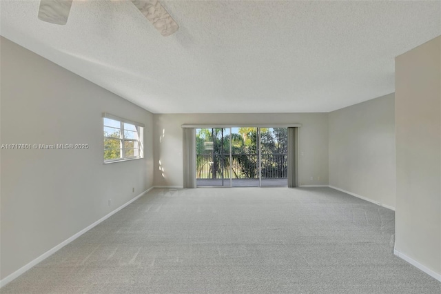 spare room with light colored carpet, plenty of natural light, and a textured ceiling