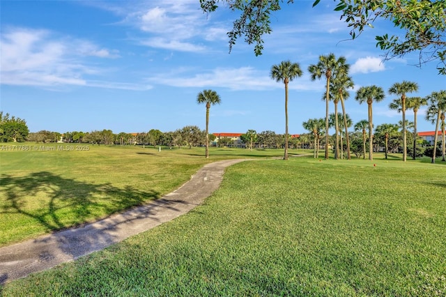 view of community featuring a lawn