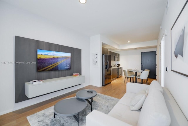 living room featuring light hardwood / wood-style floors