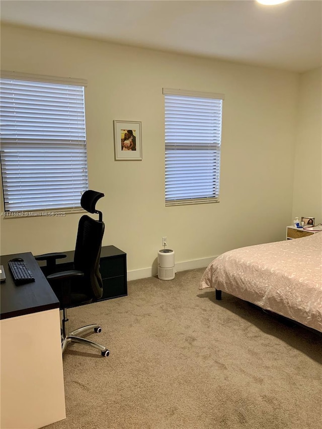 bedroom featuring carpet flooring