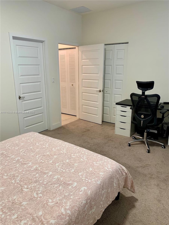 carpeted bedroom with two closets