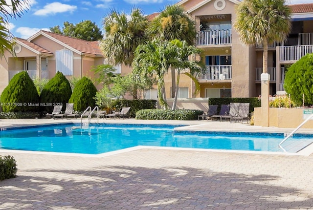 view of swimming pool featuring a patio area