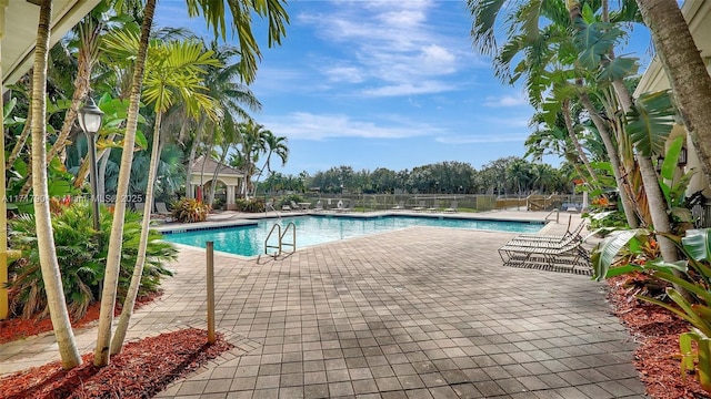 view of pool featuring a patio area