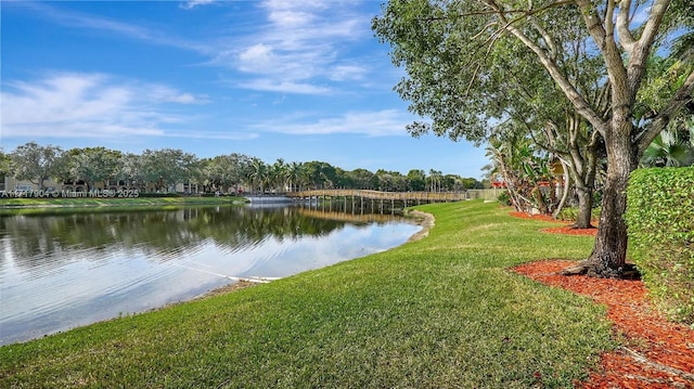 property view of water