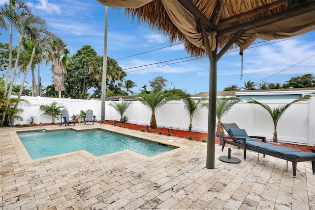 view of pool featuring a patio area