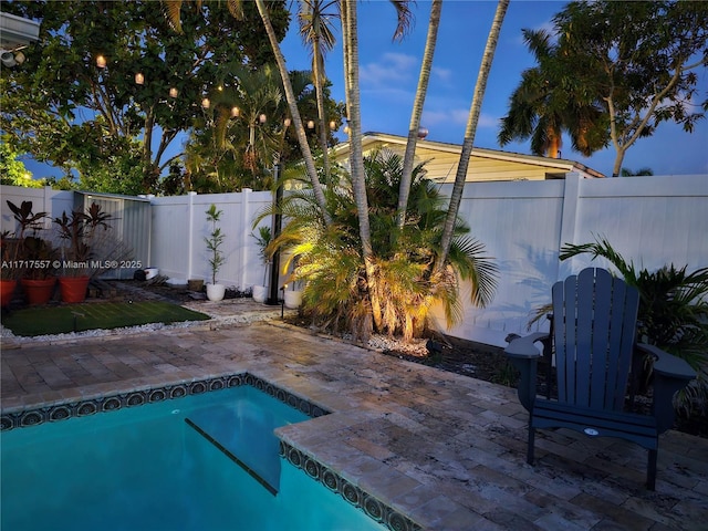 view of swimming pool with a patio