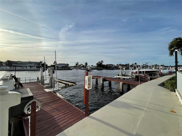 dock area featuring a water view