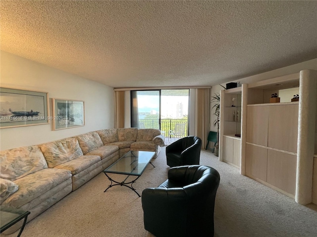 carpeted living room with a textured ceiling and expansive windows