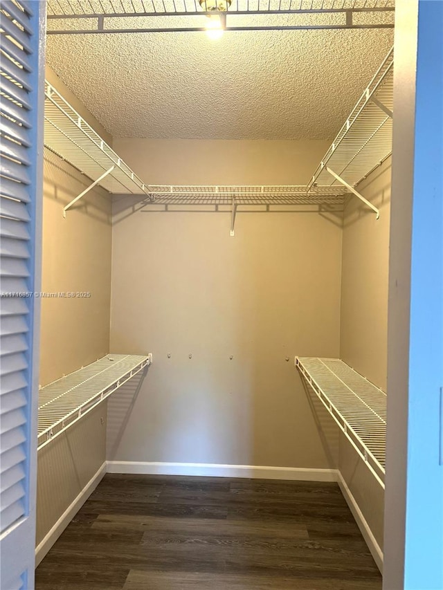 spacious closet featuring dark wood-type flooring