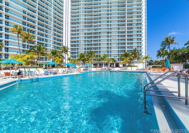 view of pool with a patio area