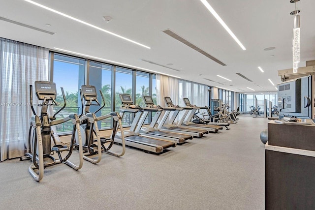 exercise room featuring a wealth of natural light