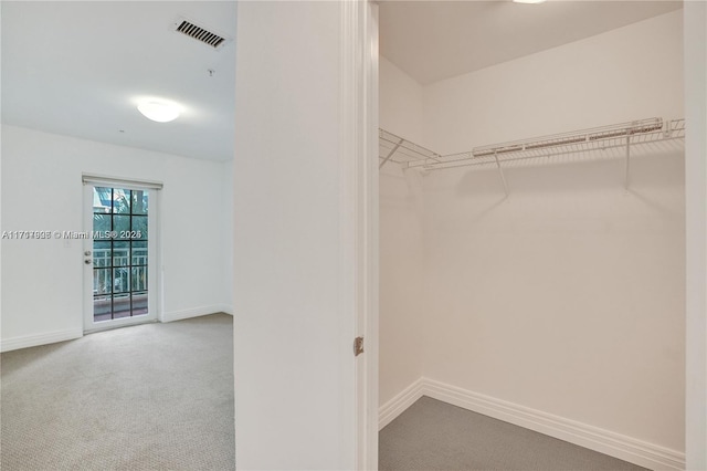 walk in closet featuring carpet flooring