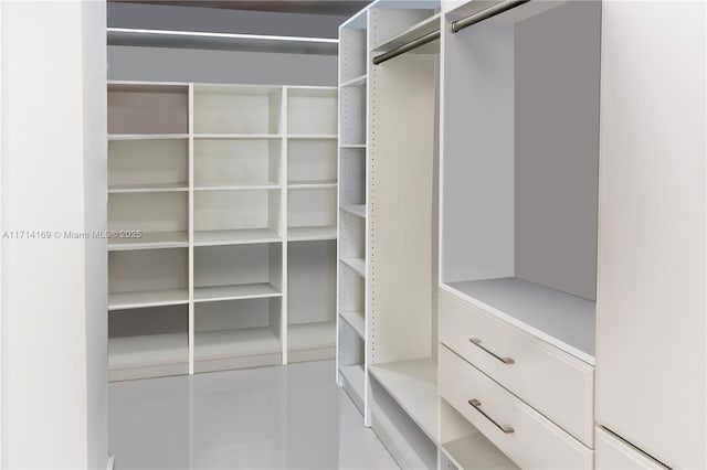 view of spacious closet