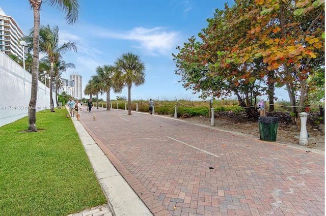 view of property's community with a yard