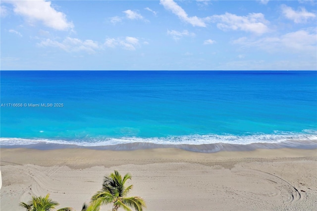 water view featuring a view of the beach