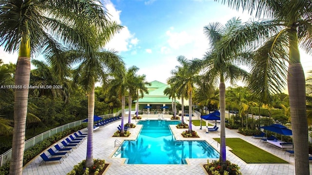 view of swimming pool featuring a patio