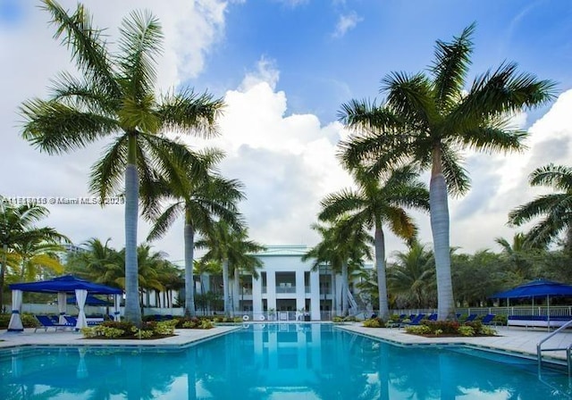 view of swimming pool