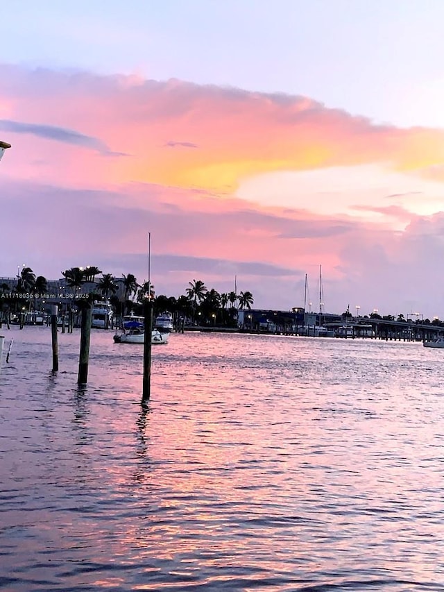 water view with a dock