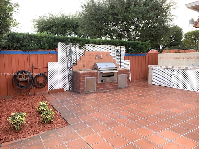 view of patio / terrace with an outdoor kitchen and a grill