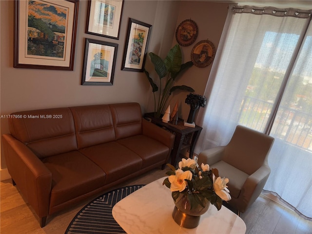 living room with light hardwood / wood-style flooring