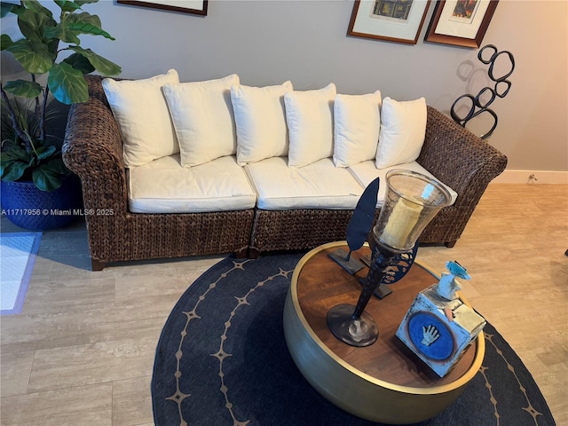 living room featuring light hardwood / wood-style flooring