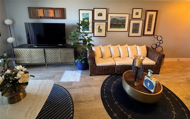 living room with hardwood / wood-style flooring