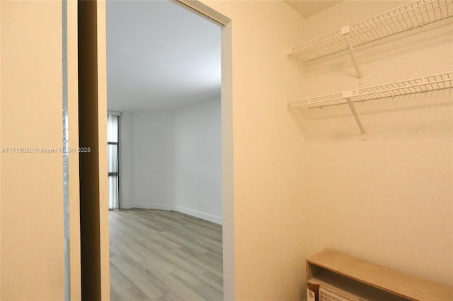 walk in closet featuring hardwood / wood-style floors