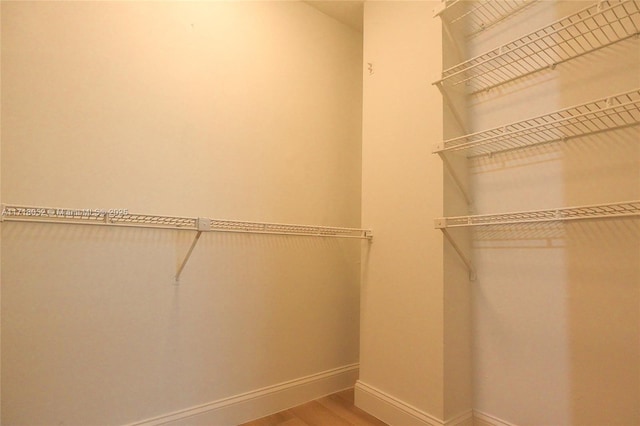 walk in closet with wood-type flooring