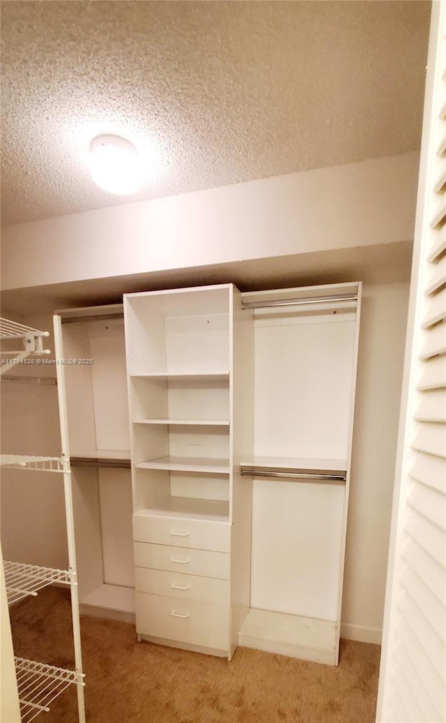 spacious closet with carpet floors