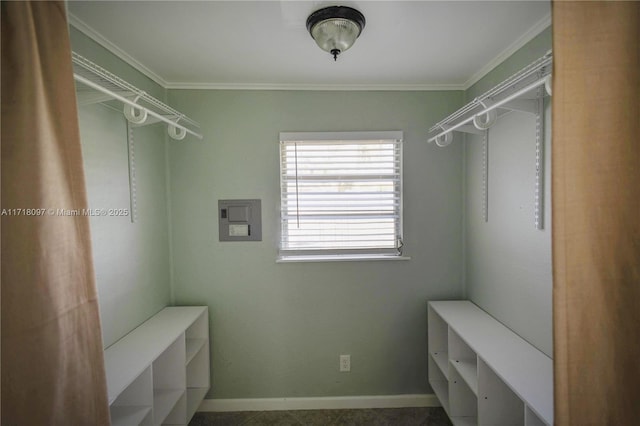 spacious closet featuring electric panel