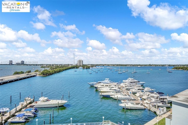 view of water feature with a dock