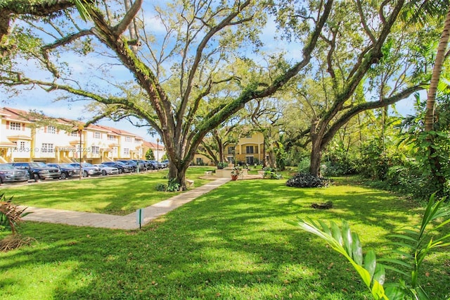 view of community with a yard