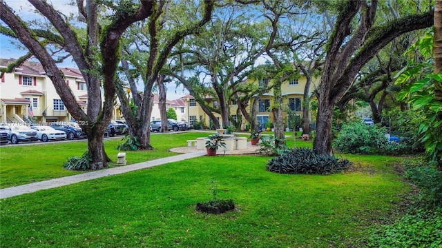 view of property's community featuring a lawn