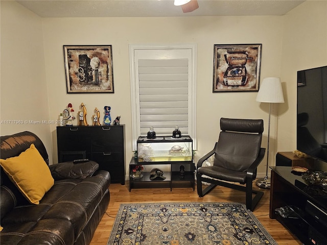 living room with light wood-type flooring and ceiling fan