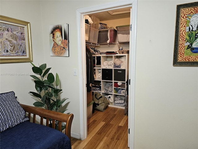 view of closet