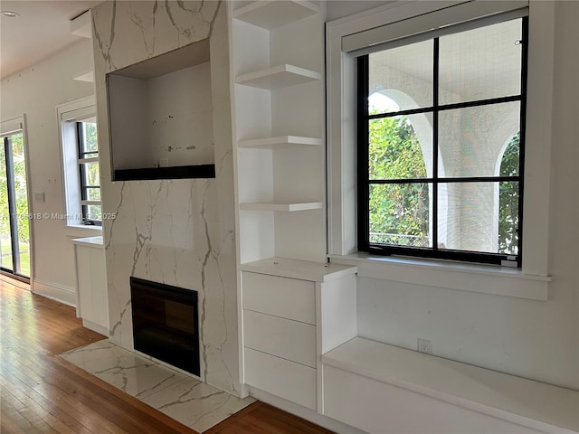 interior space featuring hardwood / wood-style floors, built in shelves, and a premium fireplace