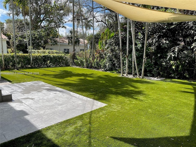 view of yard featuring a patio area