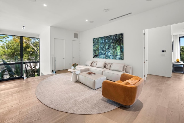 living room featuring light hardwood / wood-style floors