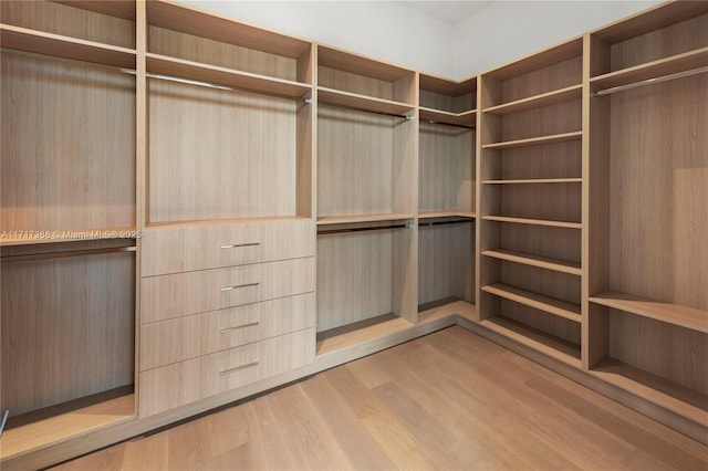 walk in closet featuring light hardwood / wood-style flooring