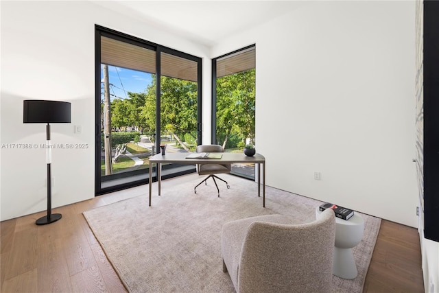 home office with hardwood / wood-style flooring