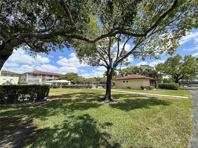 view of yard