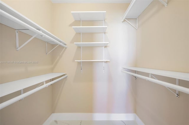 view of walk in closet