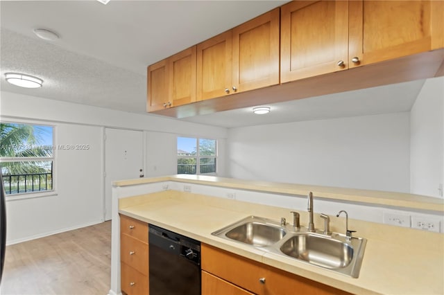 kitchen with a textured ceiling, dishwasher, light wood-type flooring, and sink