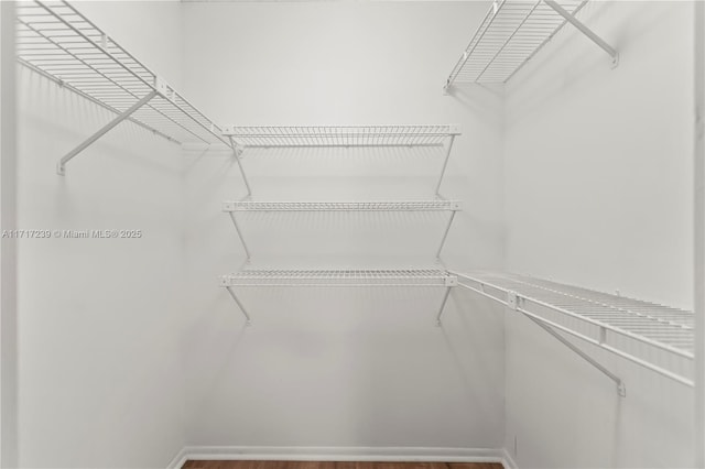 view of spacious closet