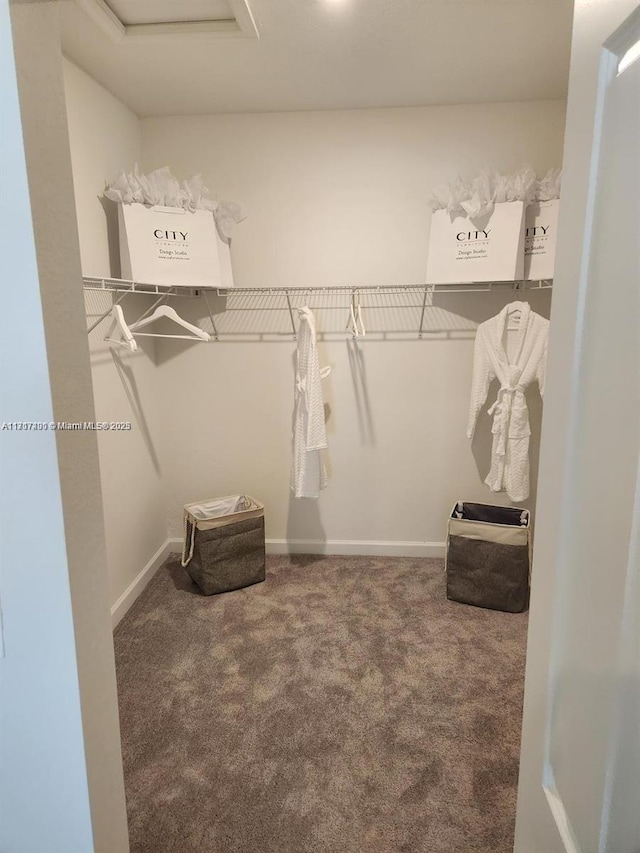 walk in closet with carpet