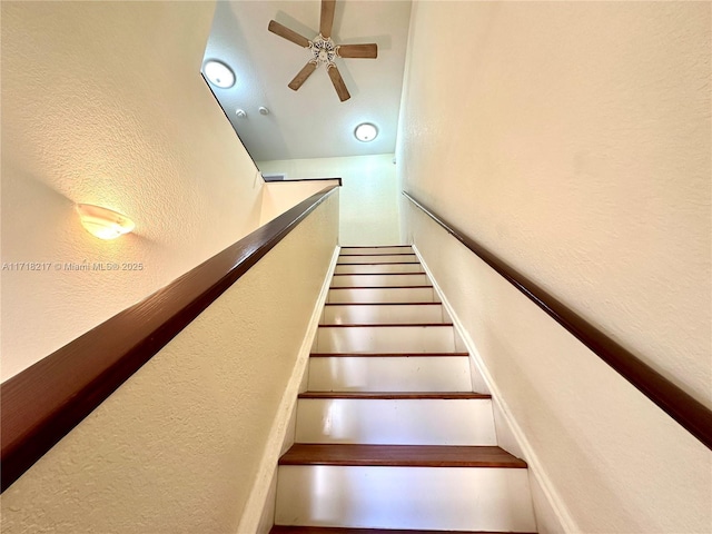 staircase featuring ceiling fan