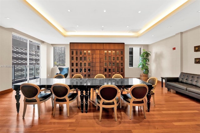 dining space featuring a tray ceiling and light hardwood / wood-style floors