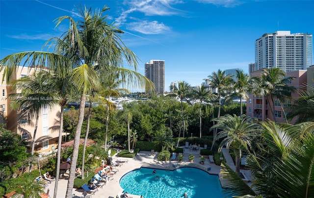 view of pool with a patio area