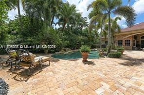 view of patio with an outdoor pool